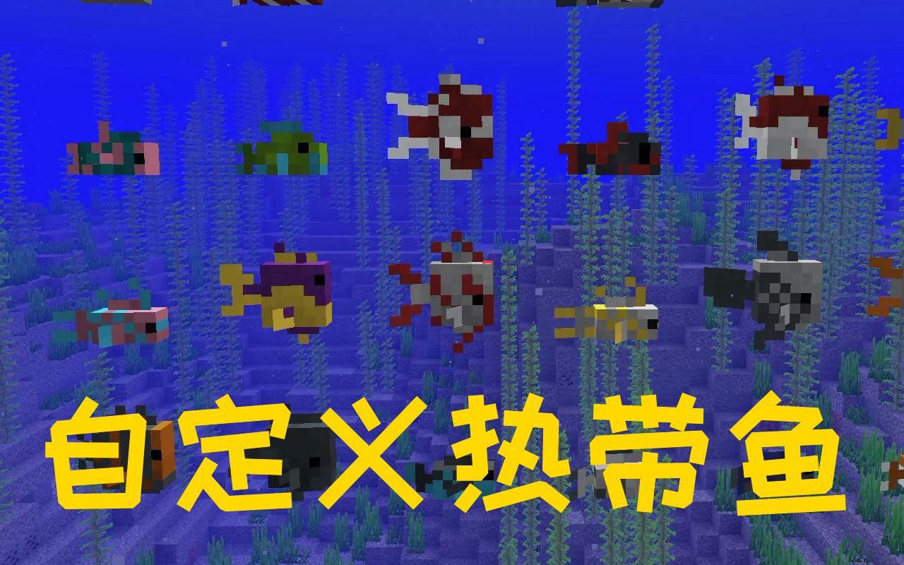 自定义热带鱼我的世界命令教学minecraft