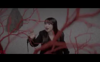 粋恋 哔哩哔哩 Bilibili