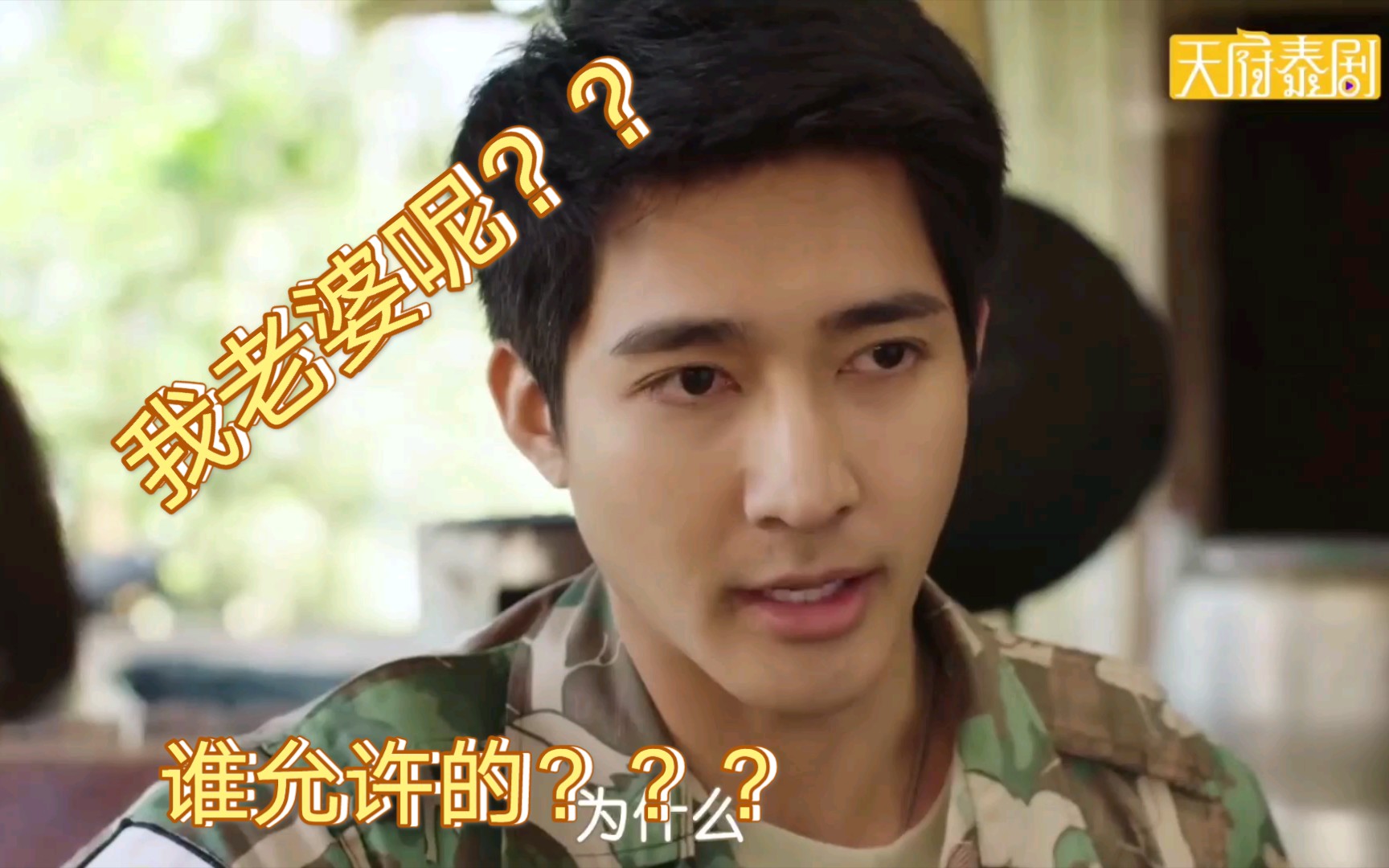 千星传说球哥寻妻寝食难安