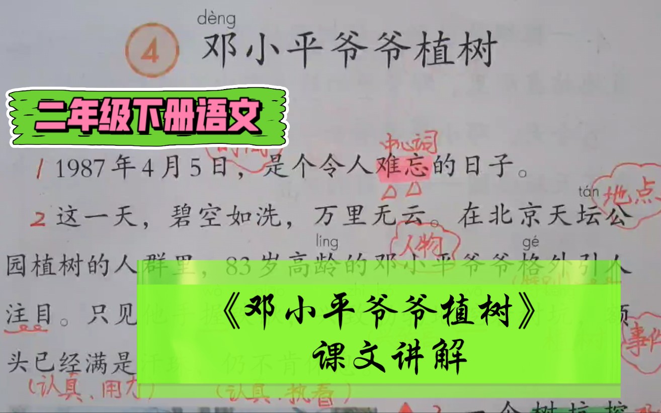 二年级下册语文《邓小平爷爷植树》课文讲解,学习连续动词的使用.哔哩哔哩bilibili