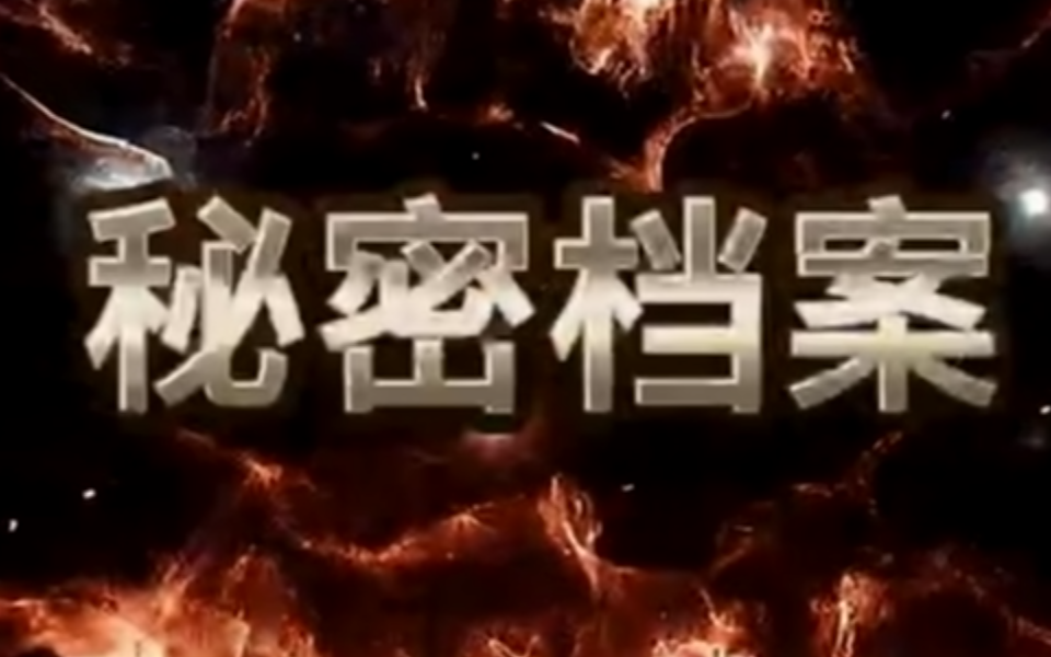 秘密档案 1集