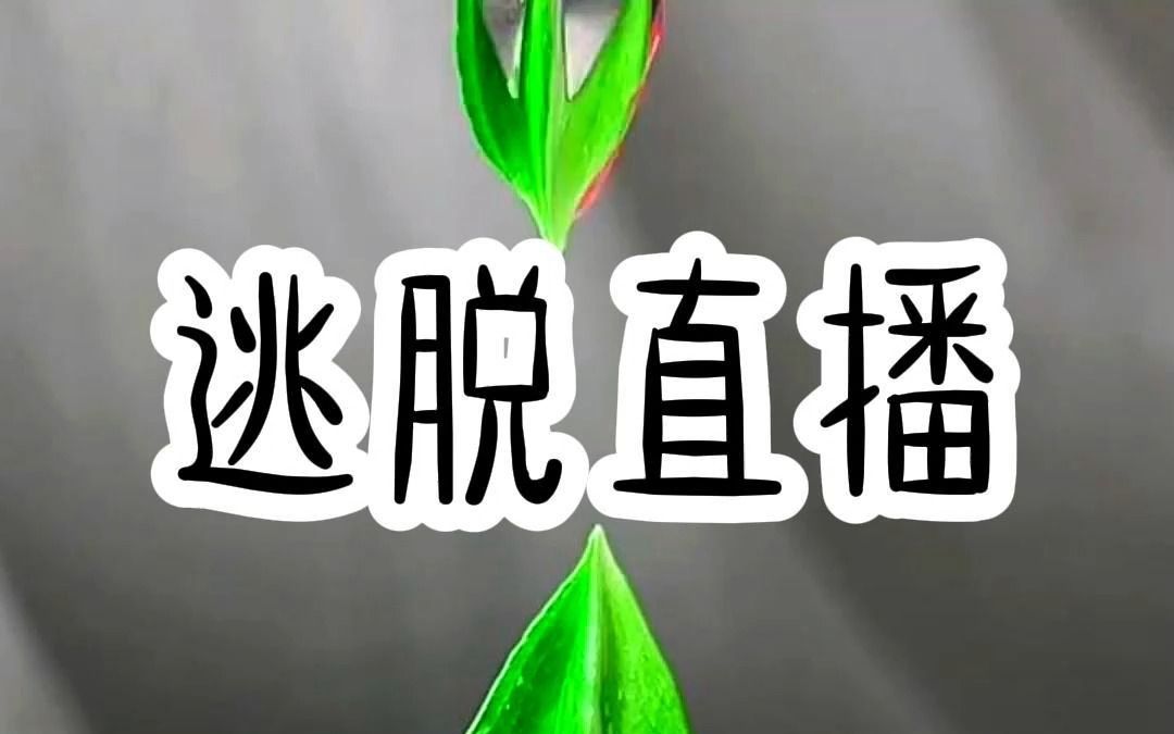 逃脱直播哔哩哔哩bilibili