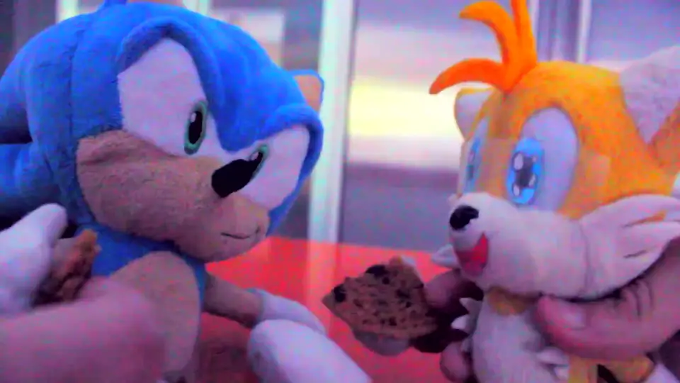 Sonic plush hot sale the cookie