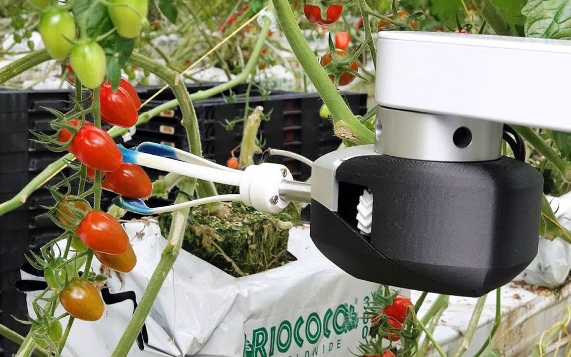 这圣女果机器人,全程自动采摘,专挑熟的_哔哩哔哩 (゜-゜)つロ 干杯