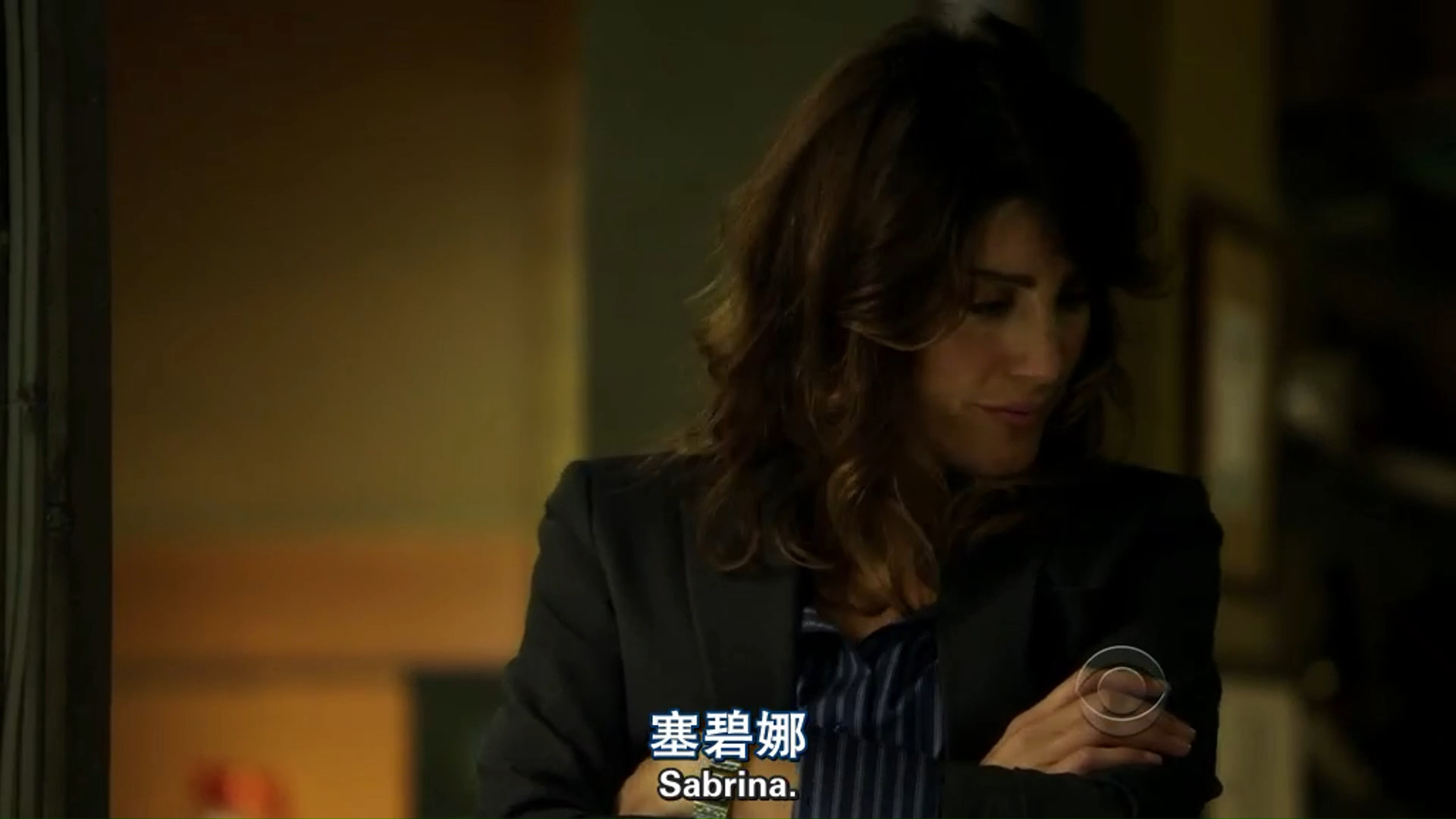 警察世家--纸醉金迷