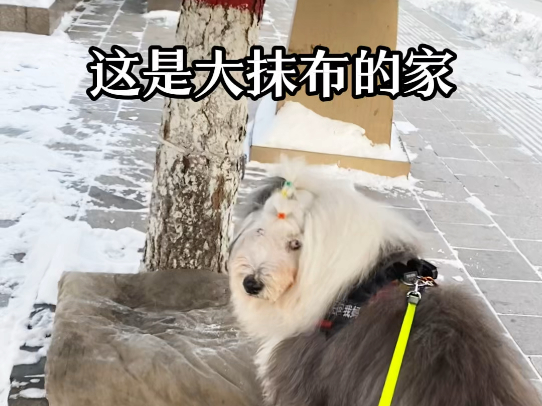 漠河大雪封路解除,再见了大抹布!哔哩哔哩bilibili