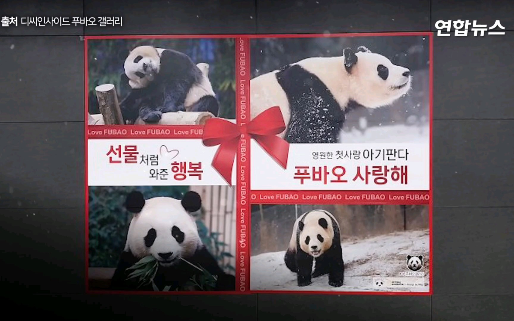 韩联社新闻"弘益大学站出现的福宝地铁广告",韩国dc福宝粉丝为送别