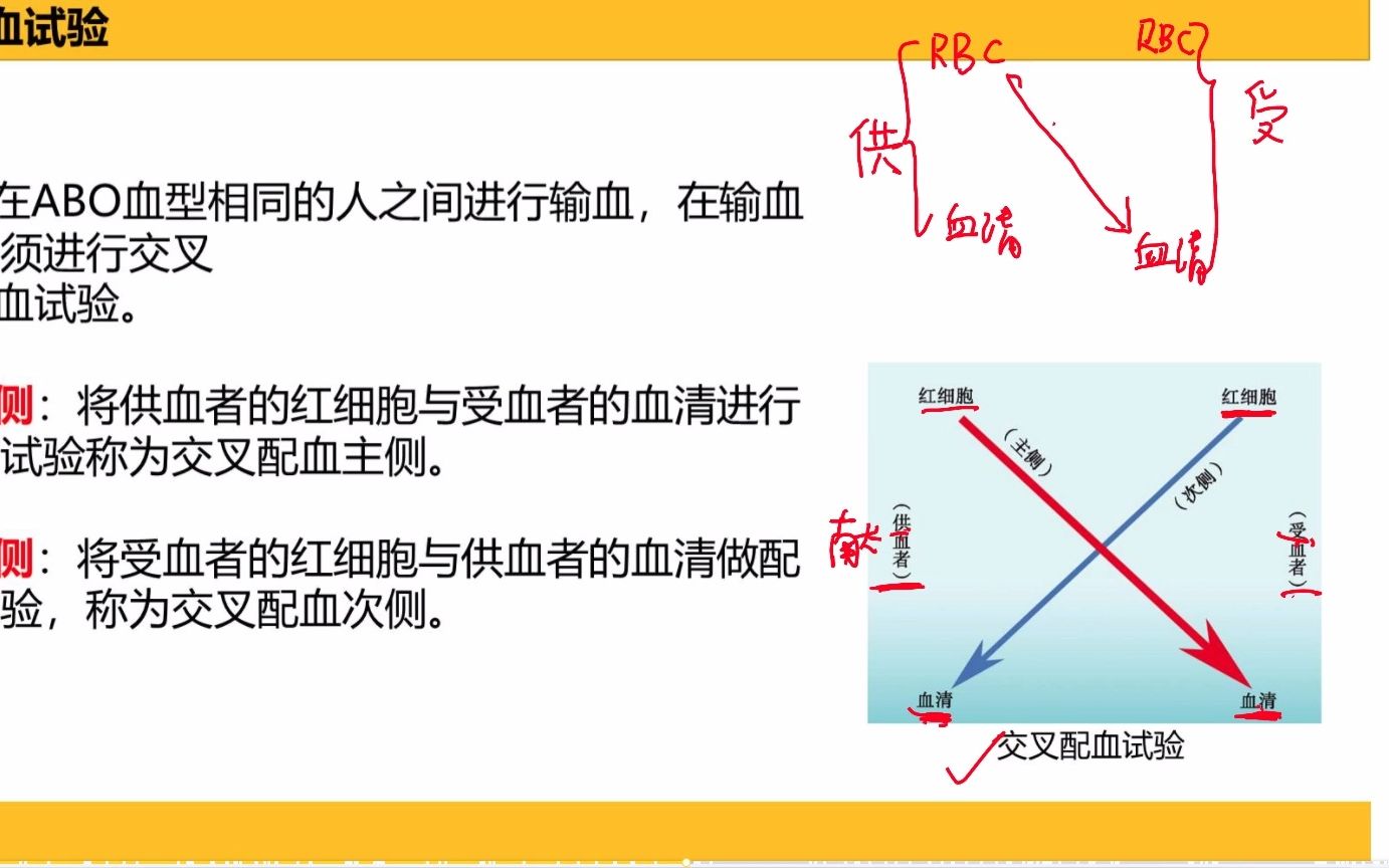 专插本生理学知识—《血液》哔哩哔哩bilibili