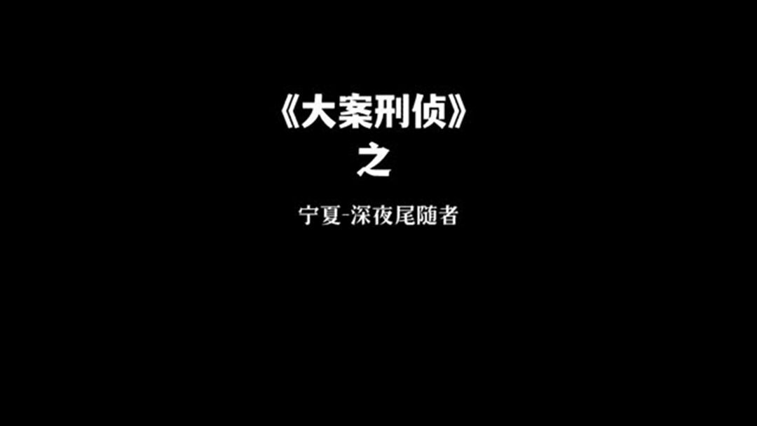 20. 宁夏固原深夜尾随者 #大案纪实 #根据真实事件改编 #我的观影报告哔哩哔哩bilibili