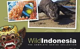 [图]【纪录片】 野性印尼 Wild Indonesia (1999) [3集] 中文字幕