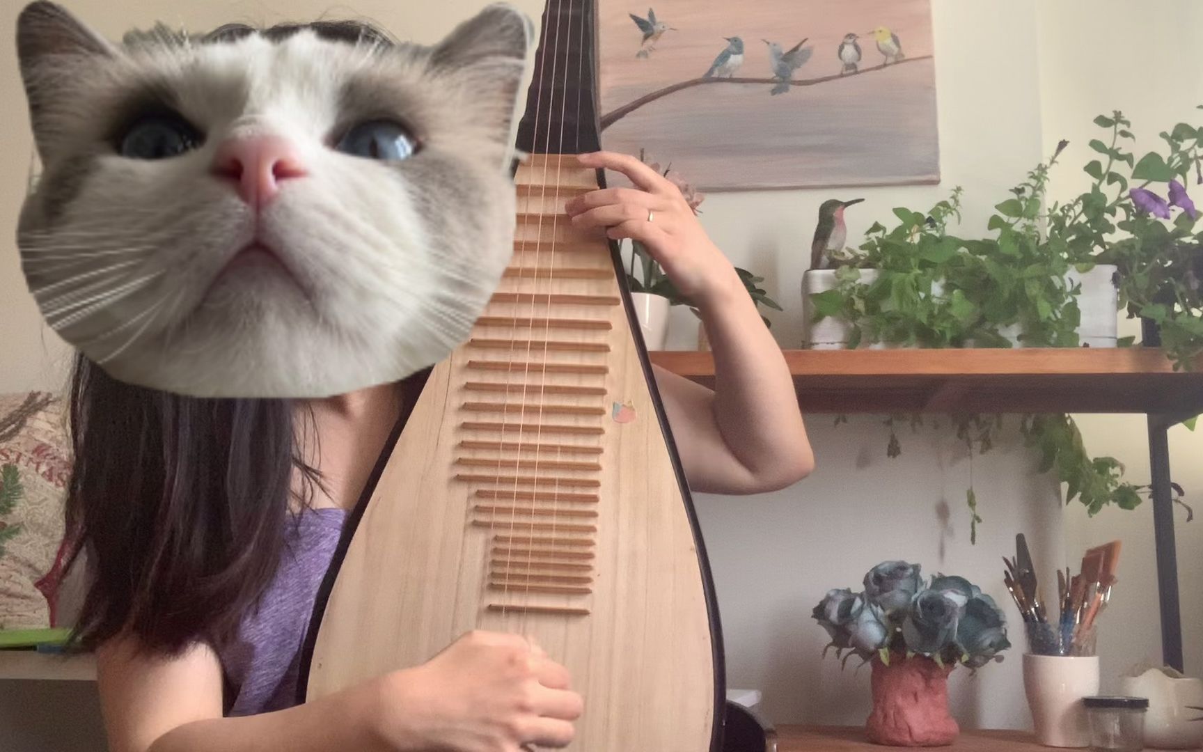 琵琶学习第21周《春光舞》上半部分_哔哩哔哩_bilibili