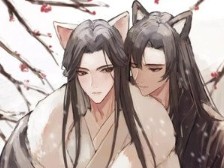 『老子名叫踏仙君』千火翎二哈和他的白猫师尊哔哩哔哩bilibili