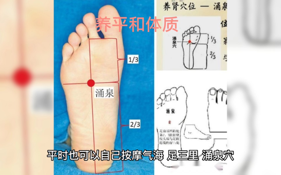 [图]九种体质，阳虚体质，阴虚体质，气虚体质，看看你是哪种