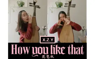 Download Video: 【琵琶版】How you like that-BLACKPINK 你见过可以手动电音的琵琶吗？