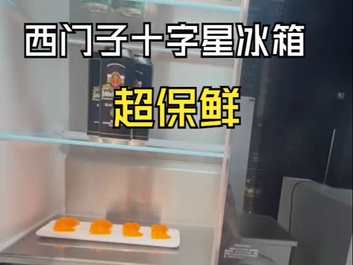 西门子超氧零度真空保鲜冰箱