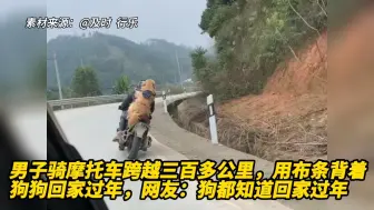 男子骑摩托车跨越三百多公里，用布条背着狗狗回家过年，网友：狗都知道回家过年