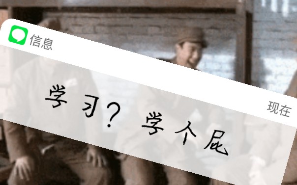 学习学个屁