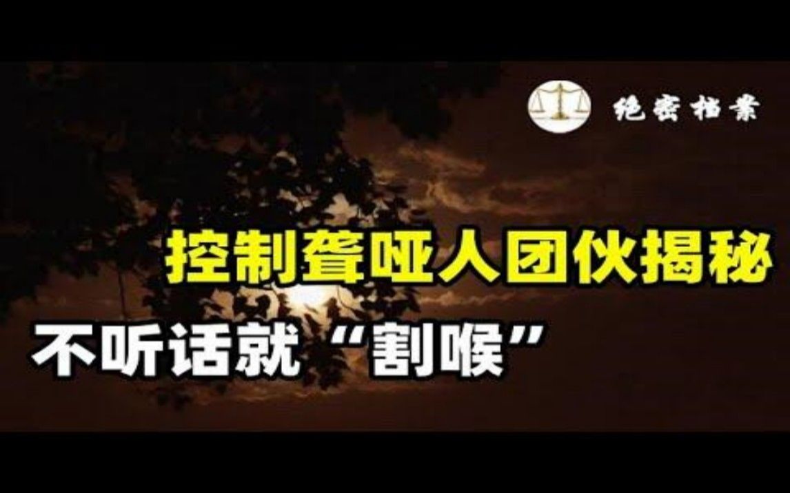 控制聋哑人的犯罪团伙揭秘,不听话就“割喉”,犯下滔天罪行的犯罪分子们哔哩哔哩bilibili