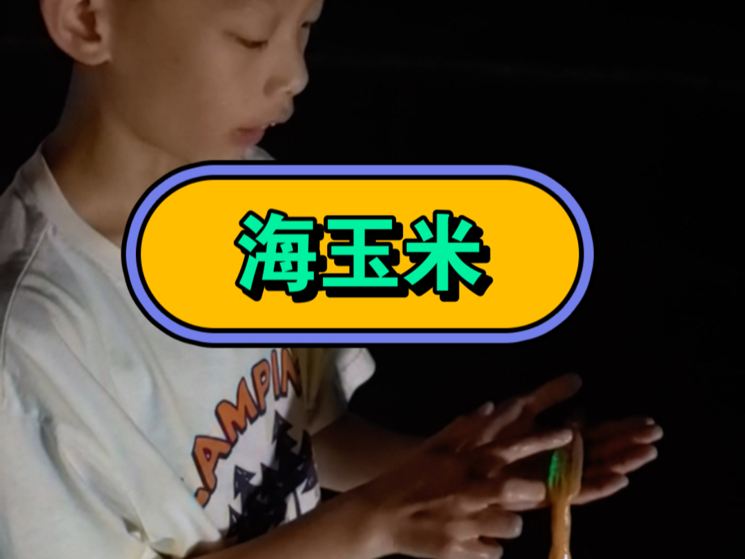 海玉米!居然会发光!者长相吗!哎呀!一言难尽!