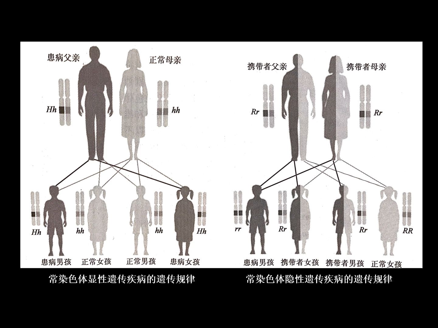 调查常见的人类遗传病并探讨其监测和预防