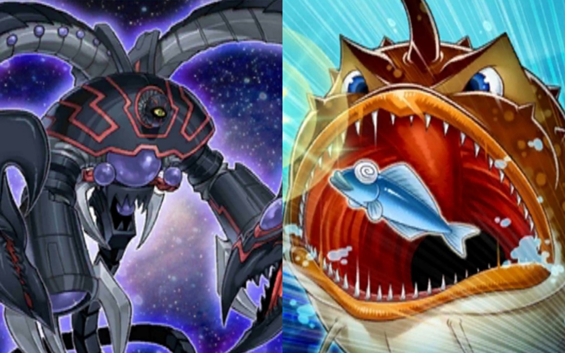 【游戏王dl】迅捷鱼的超快速特招!