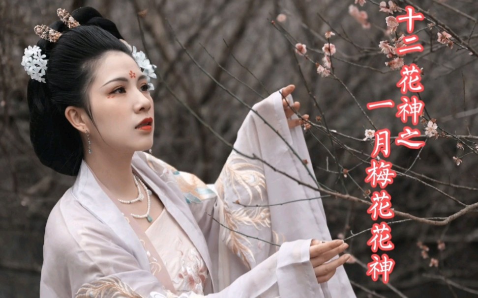 【十二花神】一月梅花花神梅妃(江采萍)