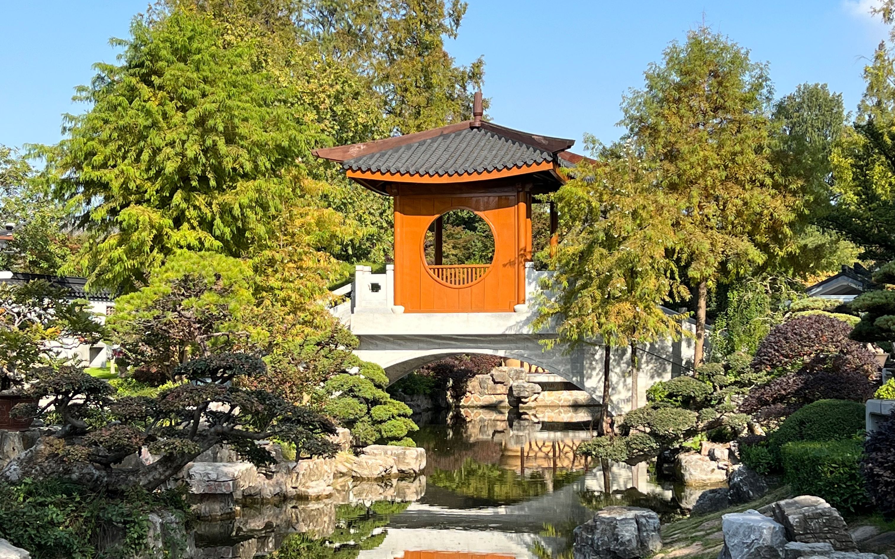 上海植物园内部实景探索~盆景园 月季园 银杏林