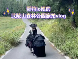 Download Video: 旅拍连拍6套是什么体验？已老实