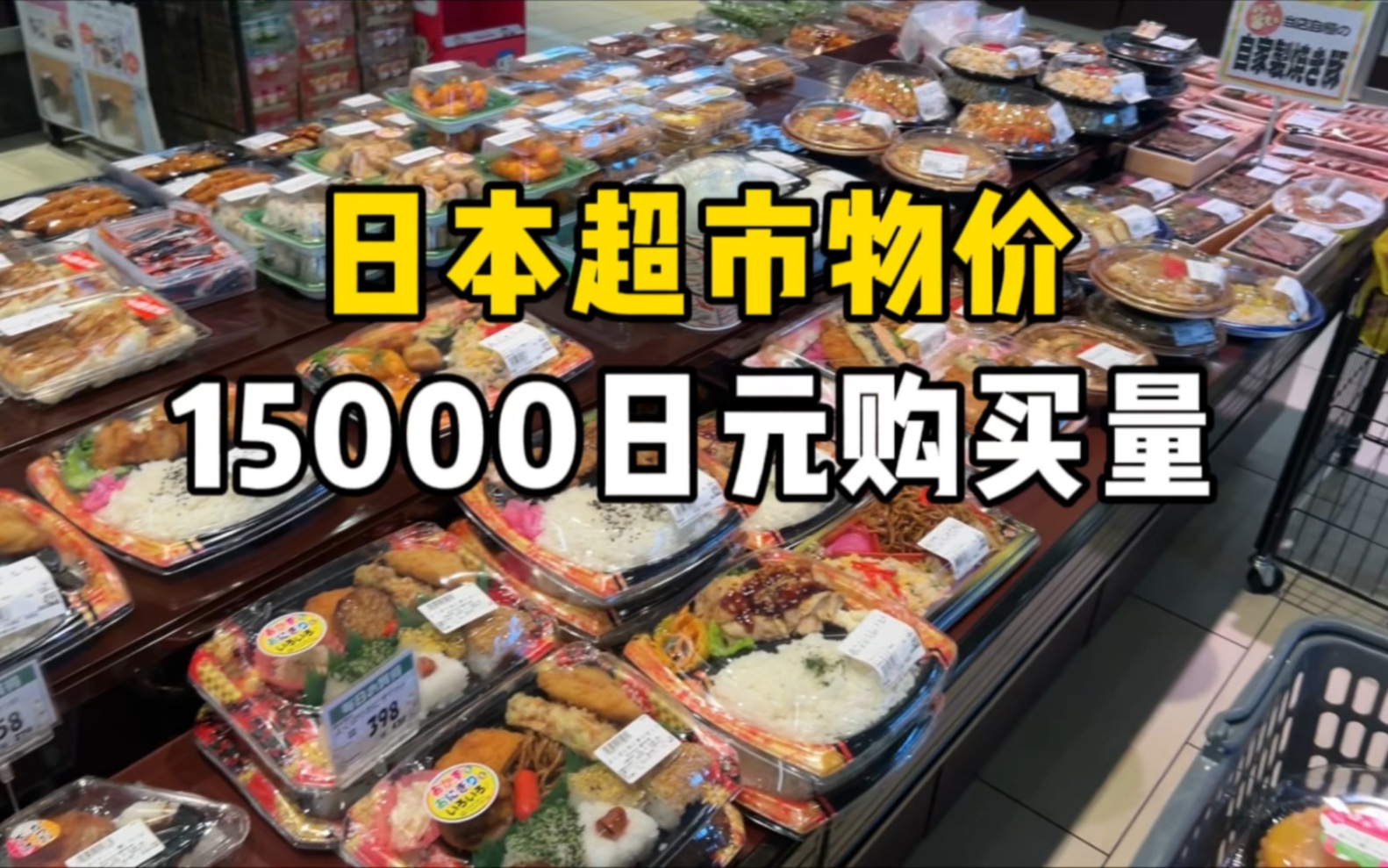 实拍记录日本超市物价,15000日元能买到多少东西?你们觉得贵吗?哔哩哔哩bilibili