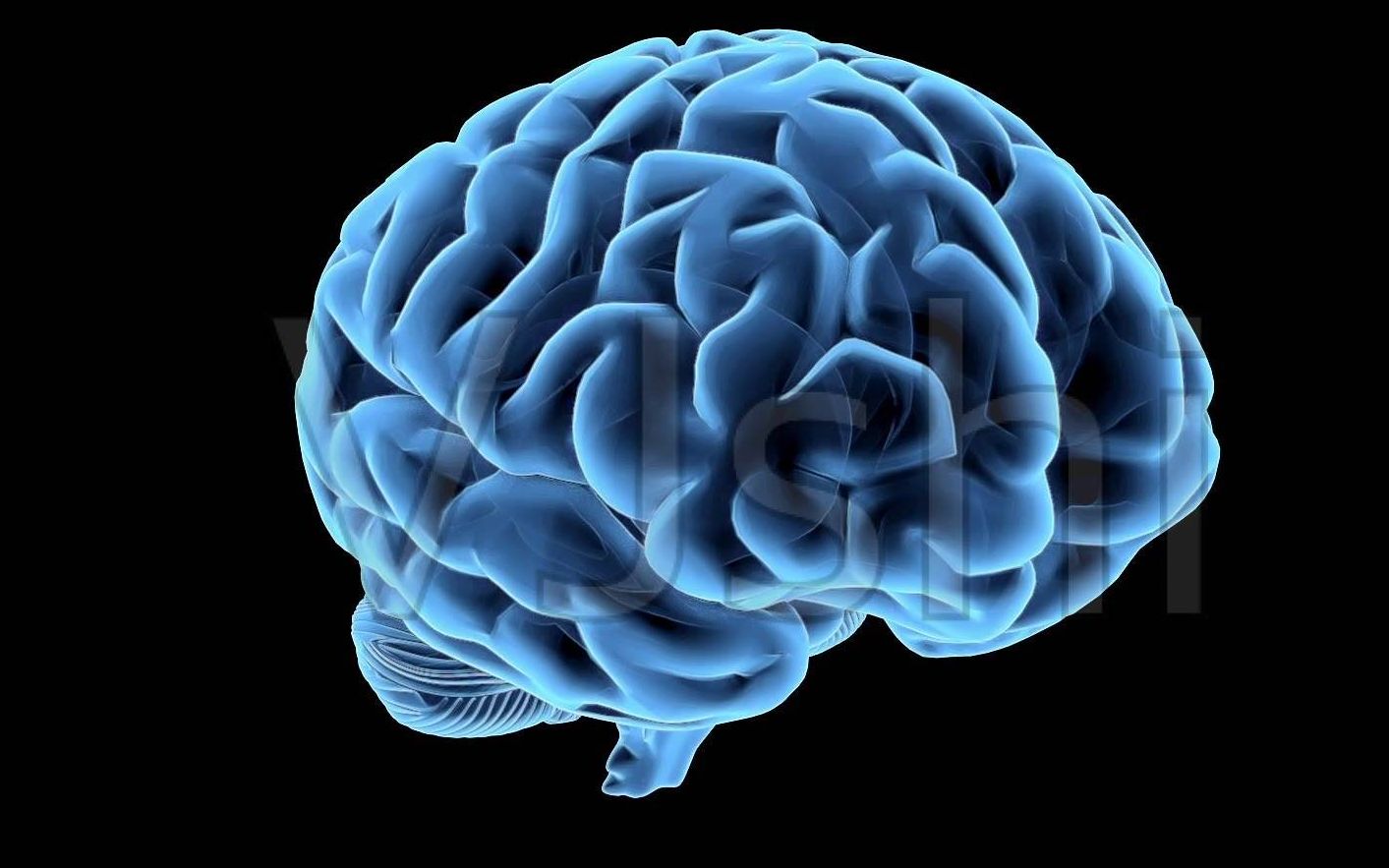 清晰头脑头脑清晰