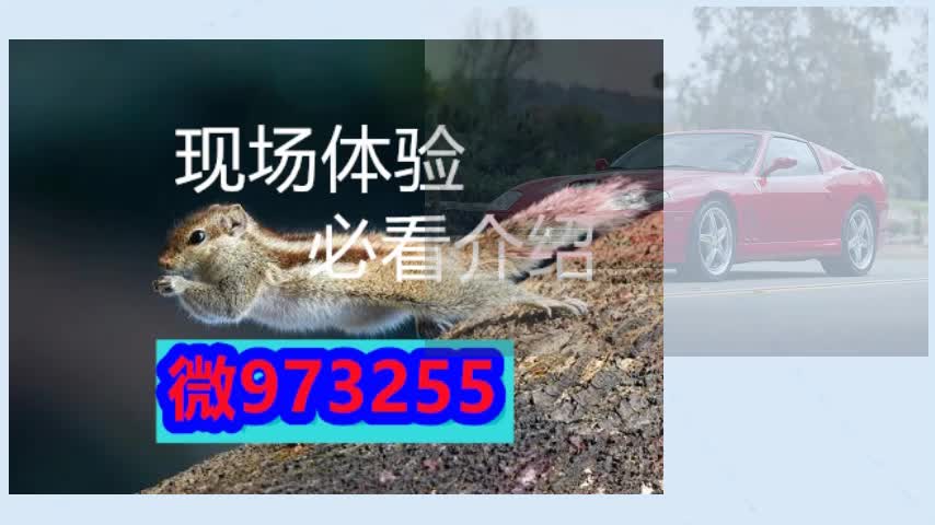 轿车干扰器图片【静】