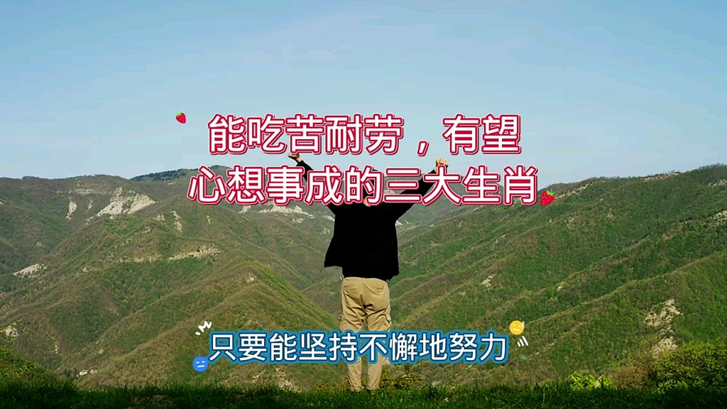 能吃苦耐劳,有望心想事成的三大生肖哔哩哔哩bilibili