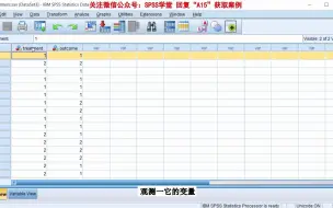 下载视频: SPSS数据加权