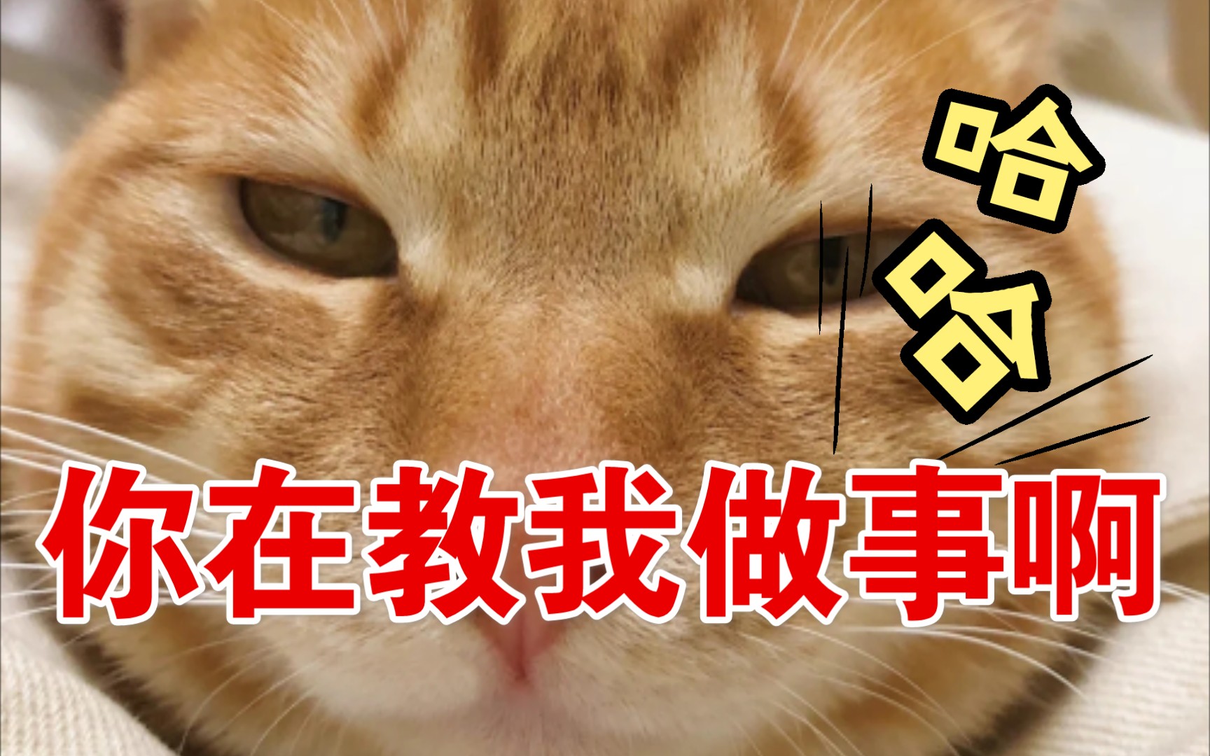 你 在 教 我 做 事 啊?