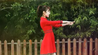 【宣璐】极乐净土※话不多说啦红色喜庆先给大家拜个早年