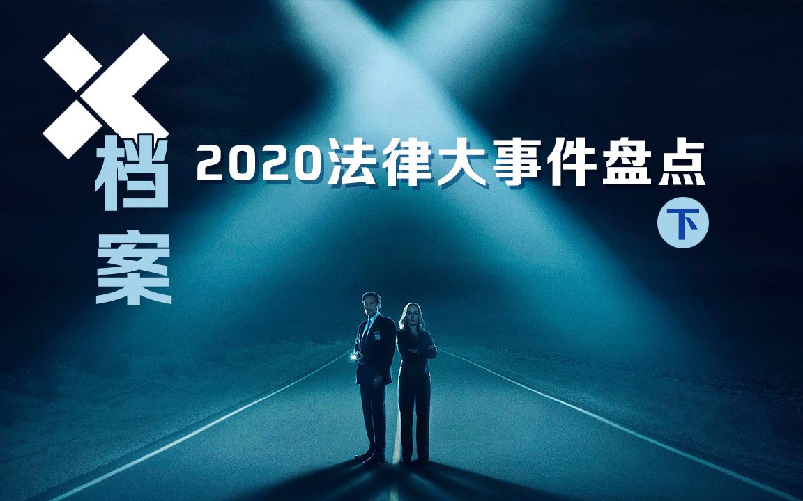 【X档案】2020法律大事件盘点(下)哔哩哔哩bilibili