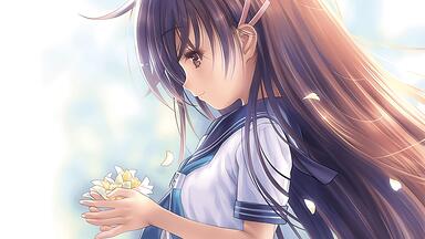 Flowers Art Works Couleur 设定集杉菜水姬4K_哔哩哔哩_bilibili