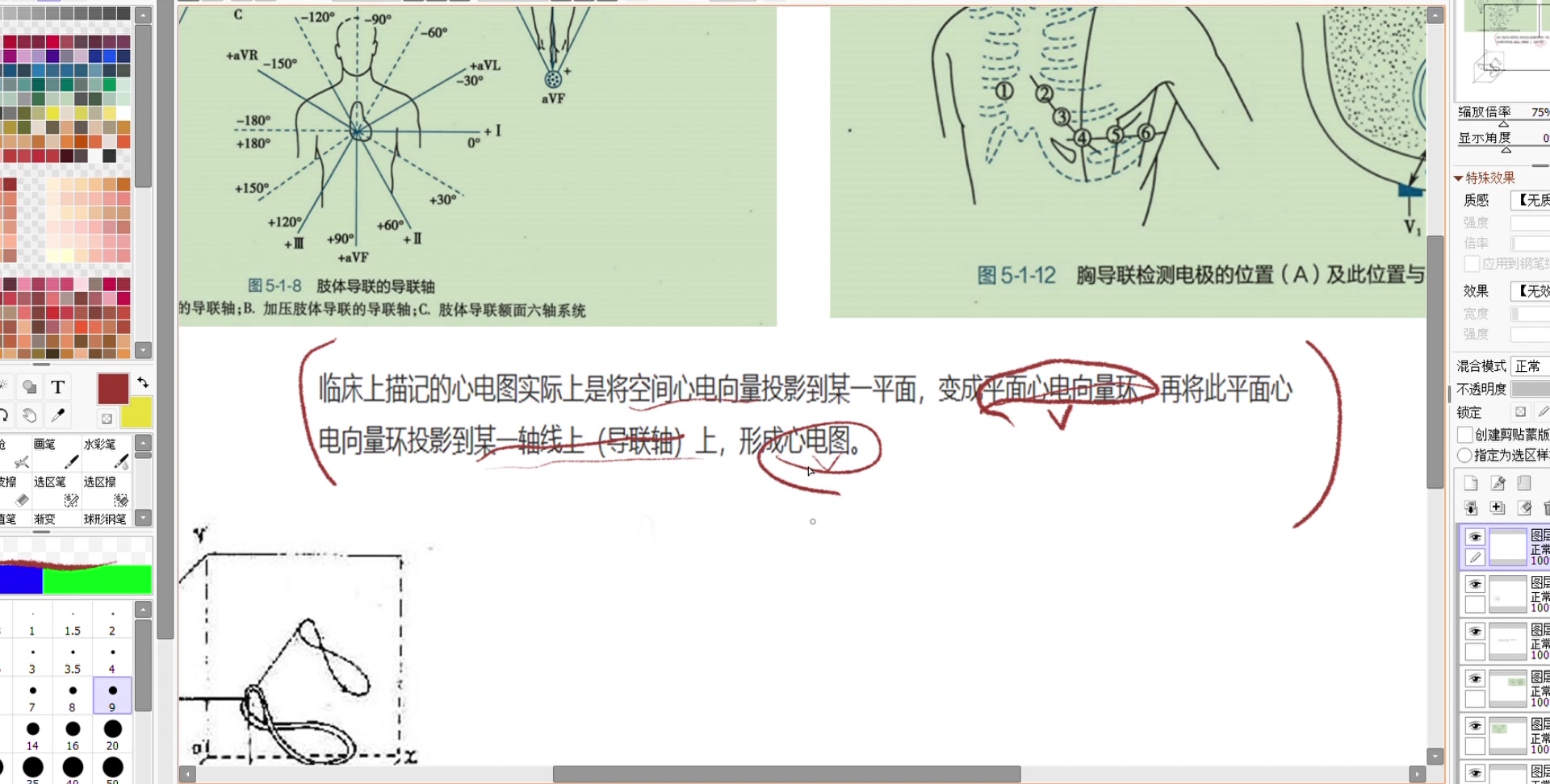 五分钟明白从心电向量到心电图哔哩哔哩bilibili