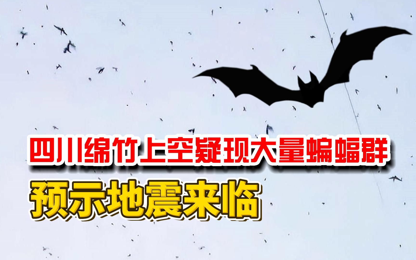 四川绵竹上空疑现大量蝙蝠群,预示了地震来临?是自然原因?哔哩哔哩bilibili