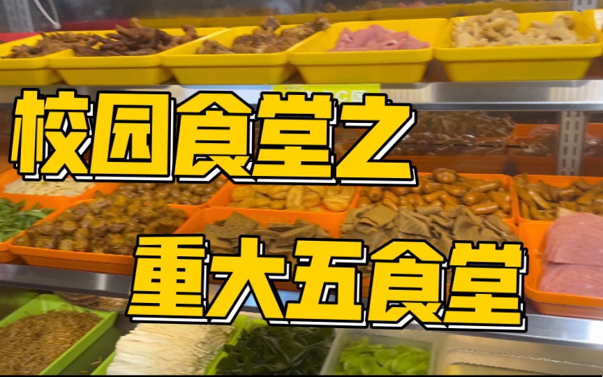 985大学重大A区民主湖餐厅,莘莘美食城,看一看就饱了哔哩哔哩bilibili