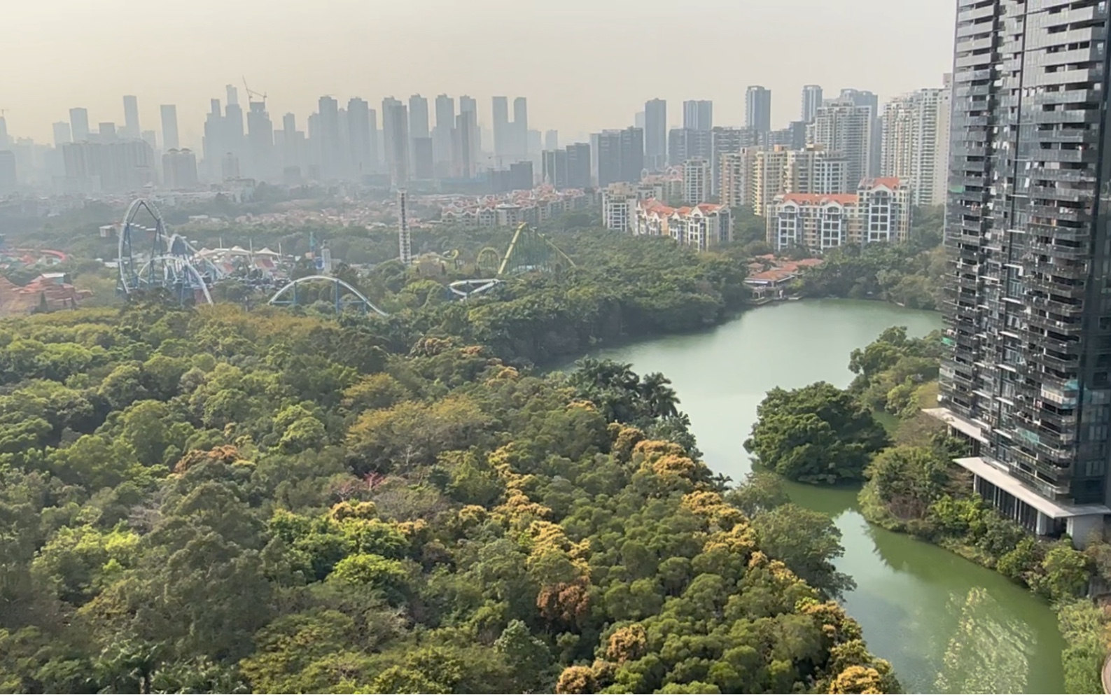 南山天鹅湖花园图片