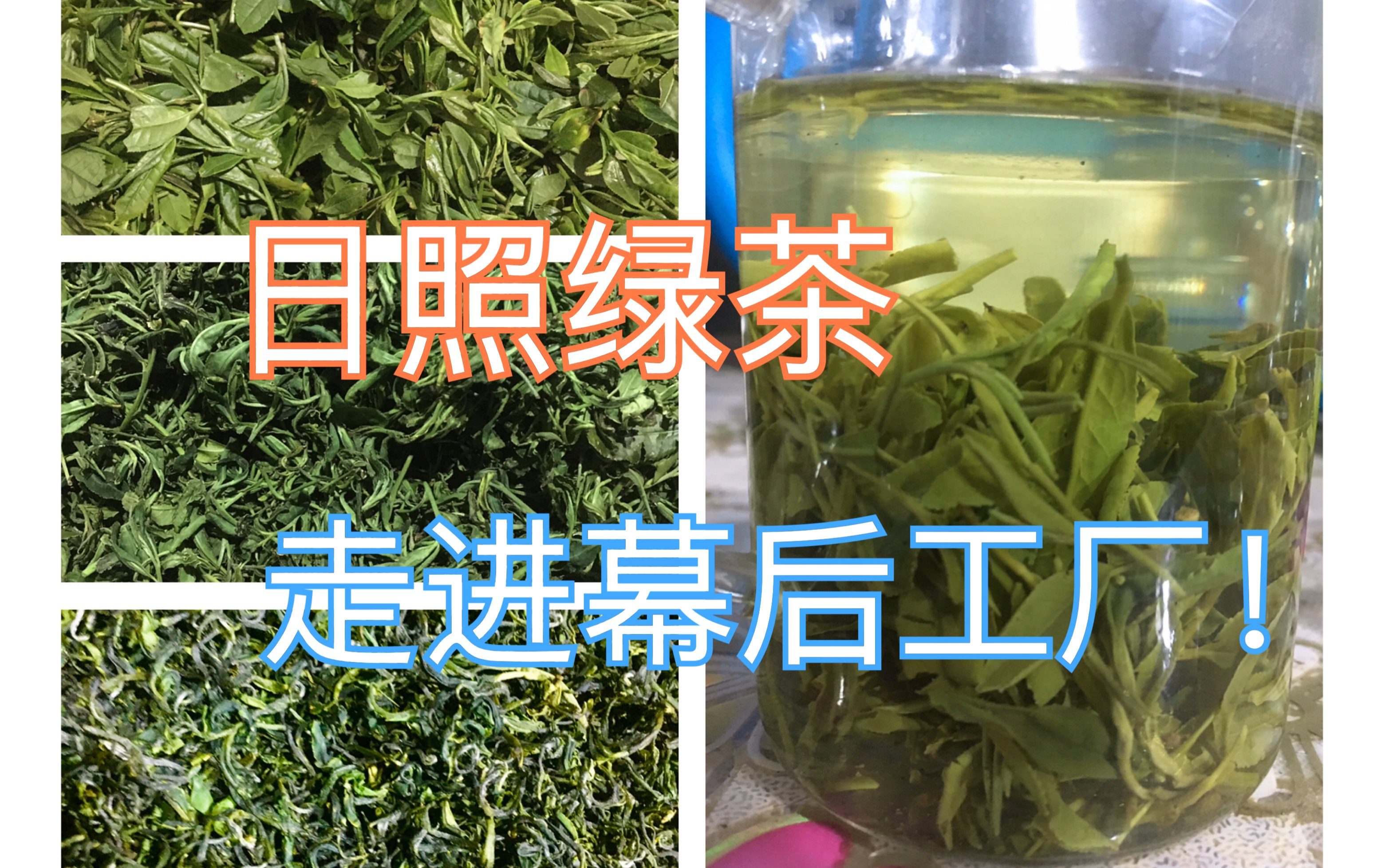 绿茶制作全过程!一镜到底带领大家参观日照绿茶背后的工厂哔哩哔哩bilibili