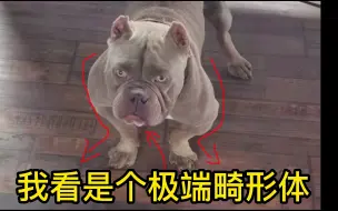 下载视频: 来看看极端畸形体串子恶霸