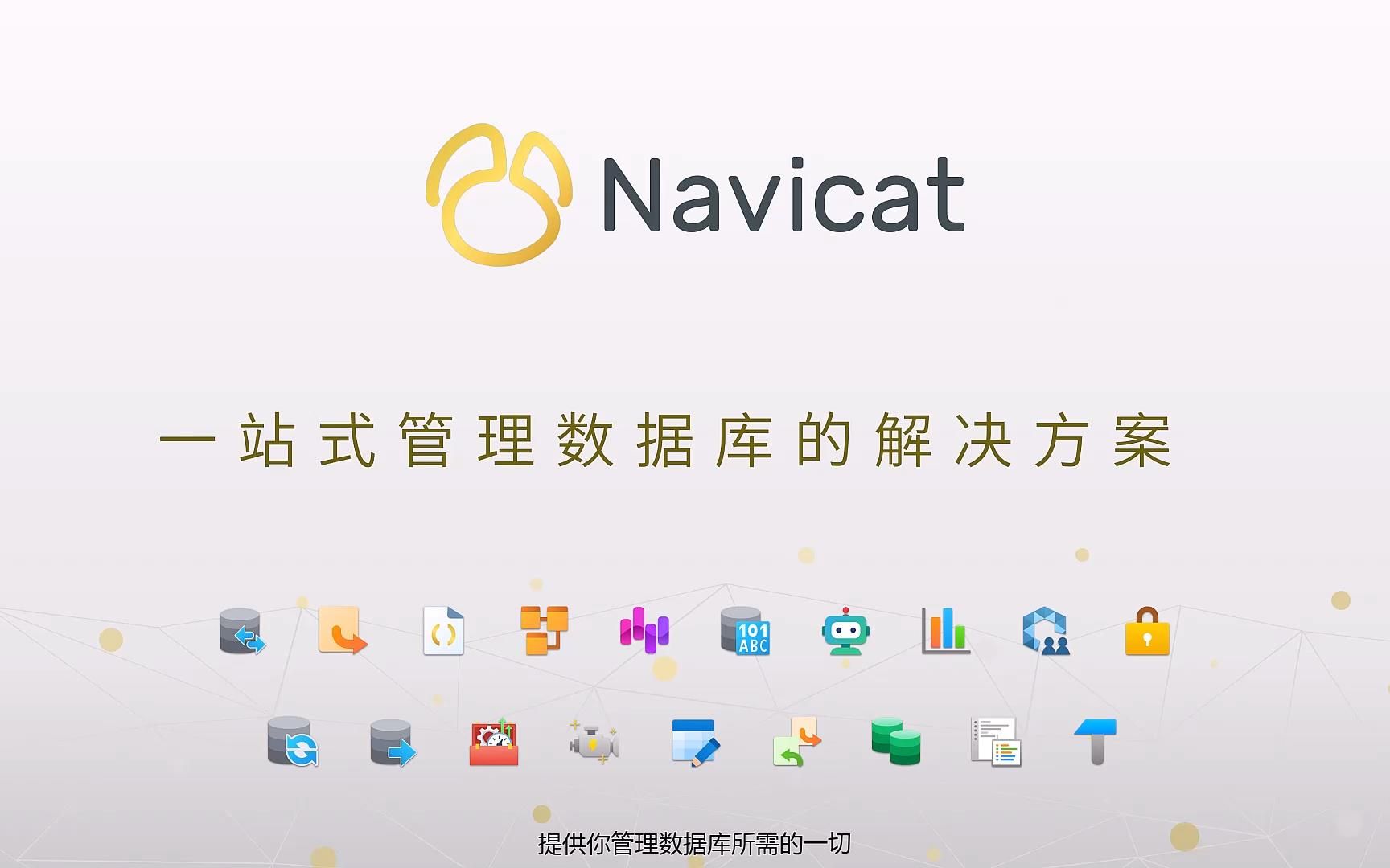 Navicat  一款友好且流行的数据库管理开发工具哔哩哔哩bilibili