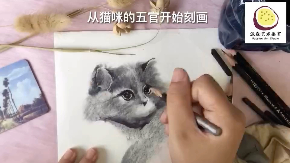 分享一个小奶猫的画法哔哩哔哩bilibili