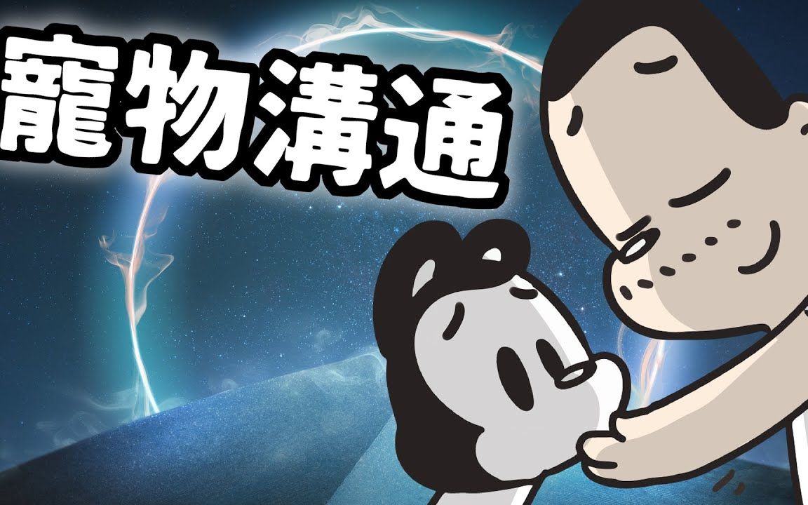 到底是科学?还是玄学?五个小故事看清宠物沟通!哔哩哔哩bilibili