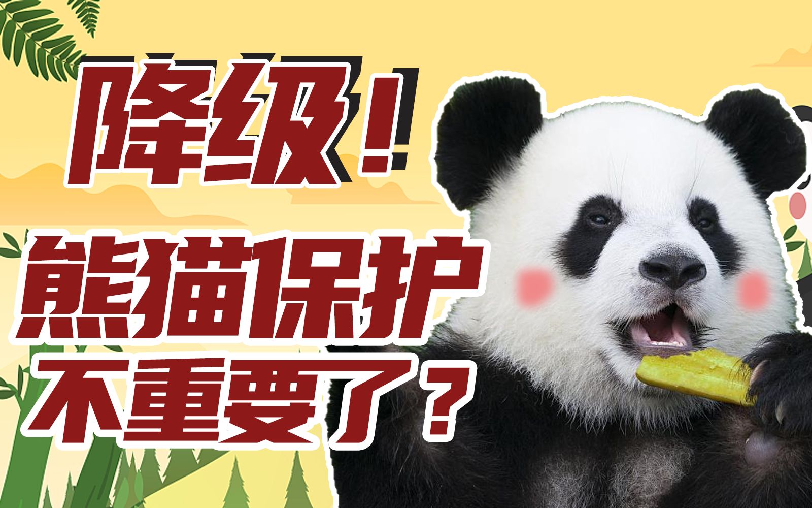 【王放】为什么要给大熊猫降级?降级后还是国宝吗?
