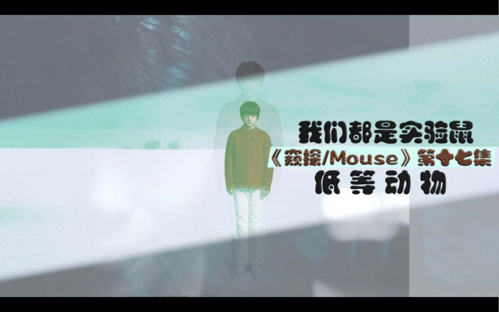 《窥探Mouse》剧情解说第十七集《低等动物》哔哩哔哩bilibili