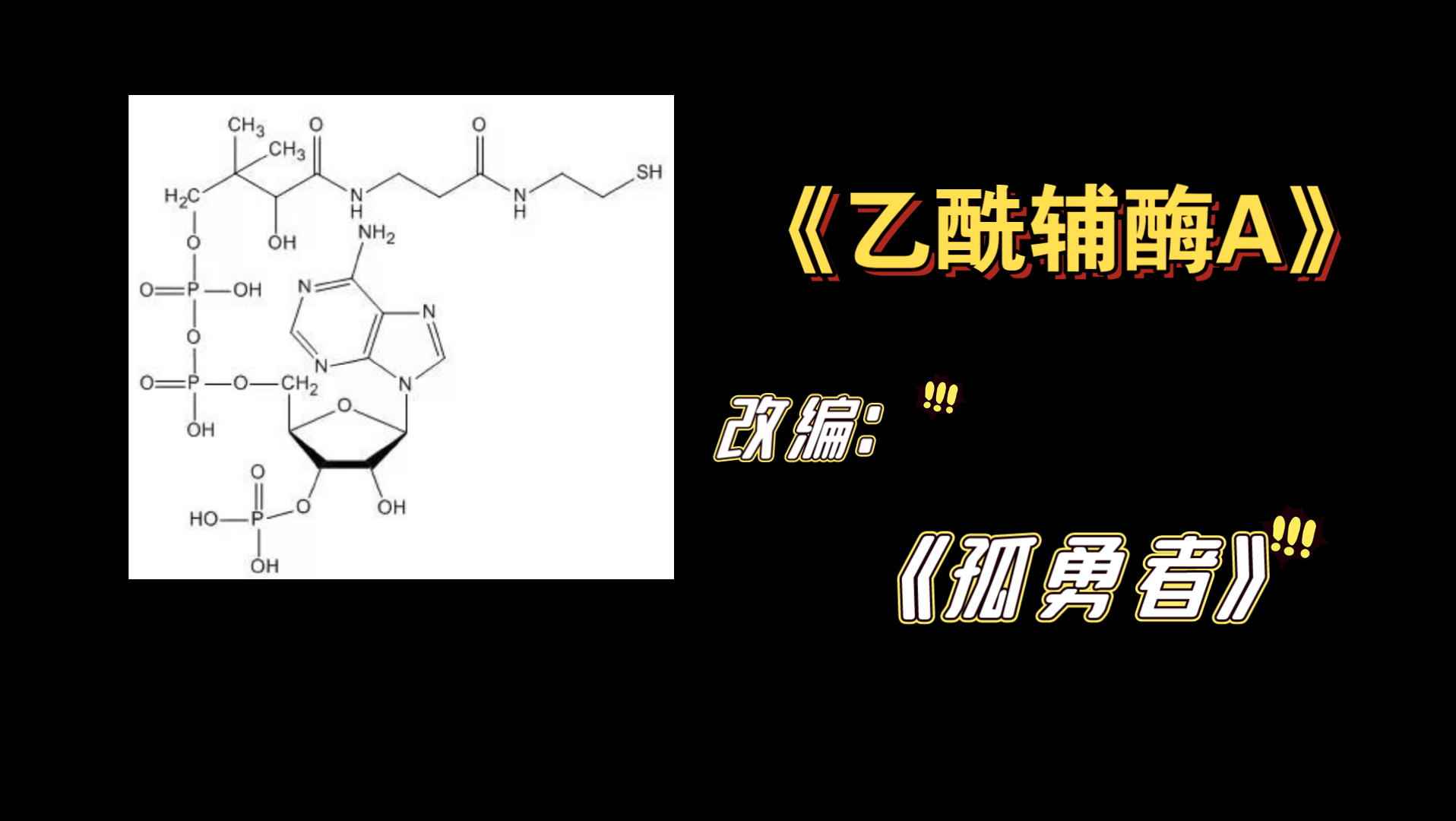 《乙酰辅酶A》哔哩哔哩bilibili