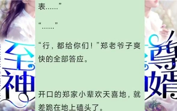 超级狂婿小说,至尊神婿叶昊郑漫儿全集阅读哔哩哔哩bilibili